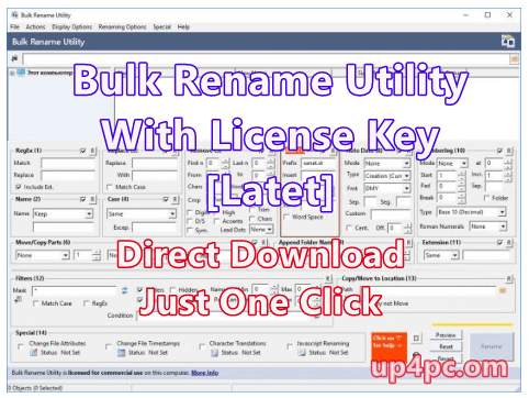 Bulk Rename Utility
