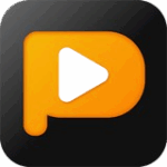 PPTube Video Downloader Download (Latest 2025)