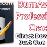 BurnAware Professional