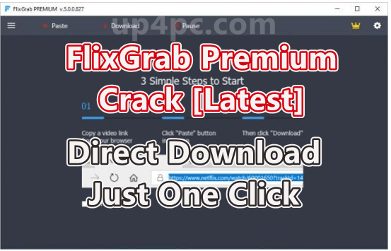 FlixGrab Premium
