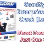 GoodSync Enterprise