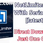 NetLimiter Pro