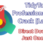 TidyTabs Professional