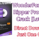 WonderFox DVD Ripper Pro 13.1 With Crack [Latest]
