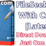 FileSeek Pro 6.3 With Crack [Latest]