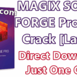 MAGIX SOUND FORGE Pro 15 license key with keygen free download