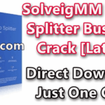 SolveigMM Video Splitter Business edition 7.3.2002.06 With Crack [Latest]
