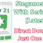 Steganos Safe 21.0.4 Revision 12573 Serial Key [Latest]