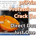 priPrinter Professional 6.6.0.2478 Beta With Crack [Latest]