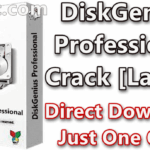 DiskGenius Professional 5.2.1.941 With Crack [Latest]