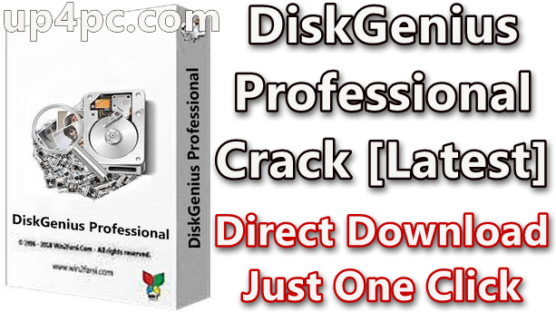 DiskGenius Professional