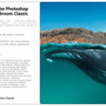 Adobe Photoshop Lightroom Classic 2021 Carck v10.0 Download [Latest]
