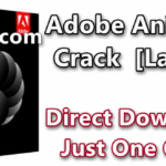 Adobe Animate 2022 Crack