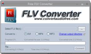 Free Flv Converter 