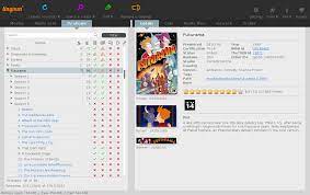 TinyMediaManager 5.2.2 Crack + Serial Key 