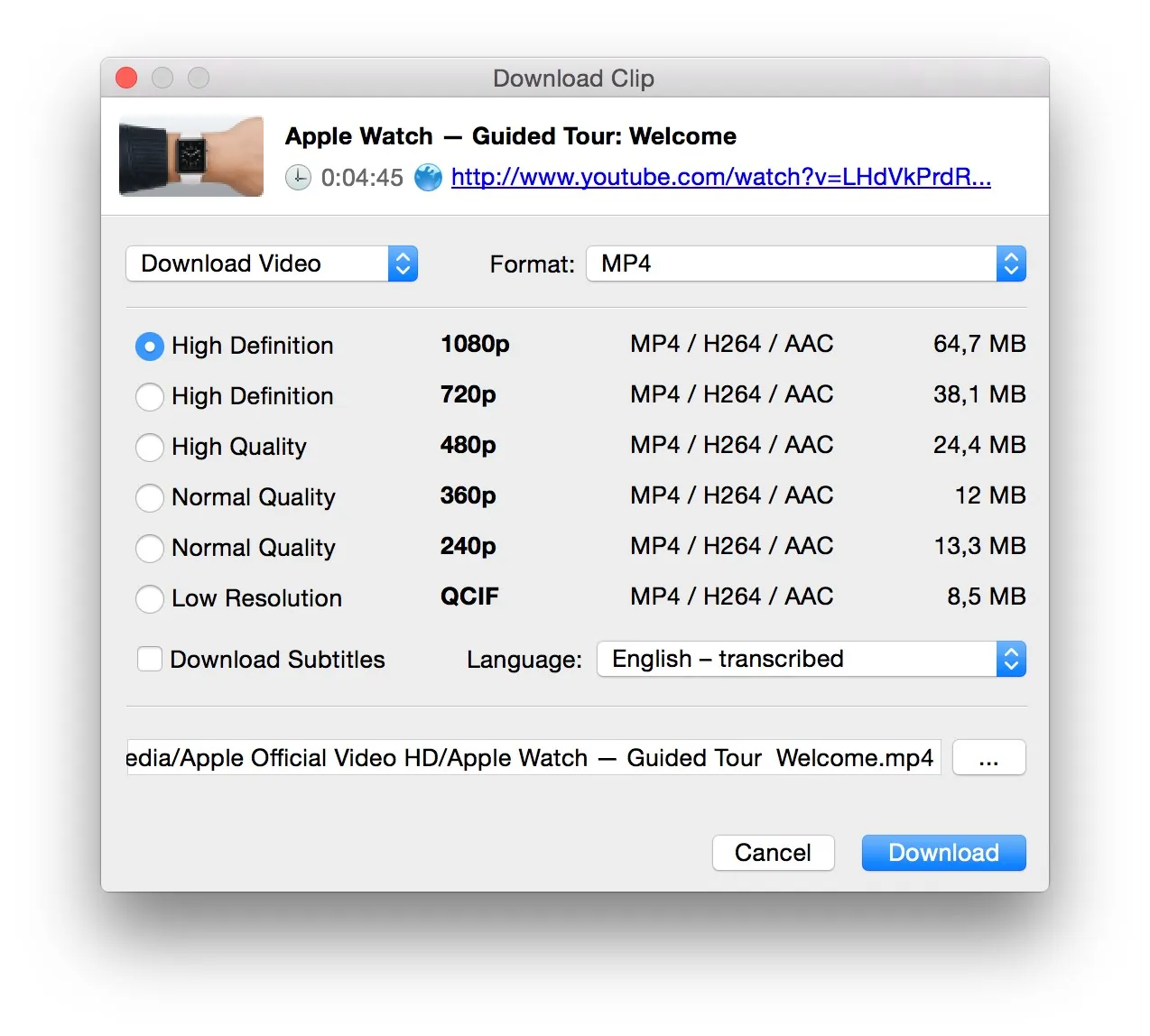 4K Video Downloader