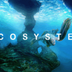 Ecosystem