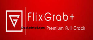 FlixGrab 5.4.1.1223 Download