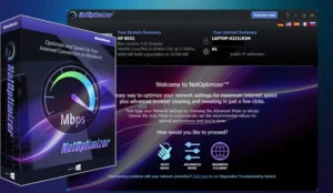 WebMinds NetOptimizer 6.6.24.1020 Free Download