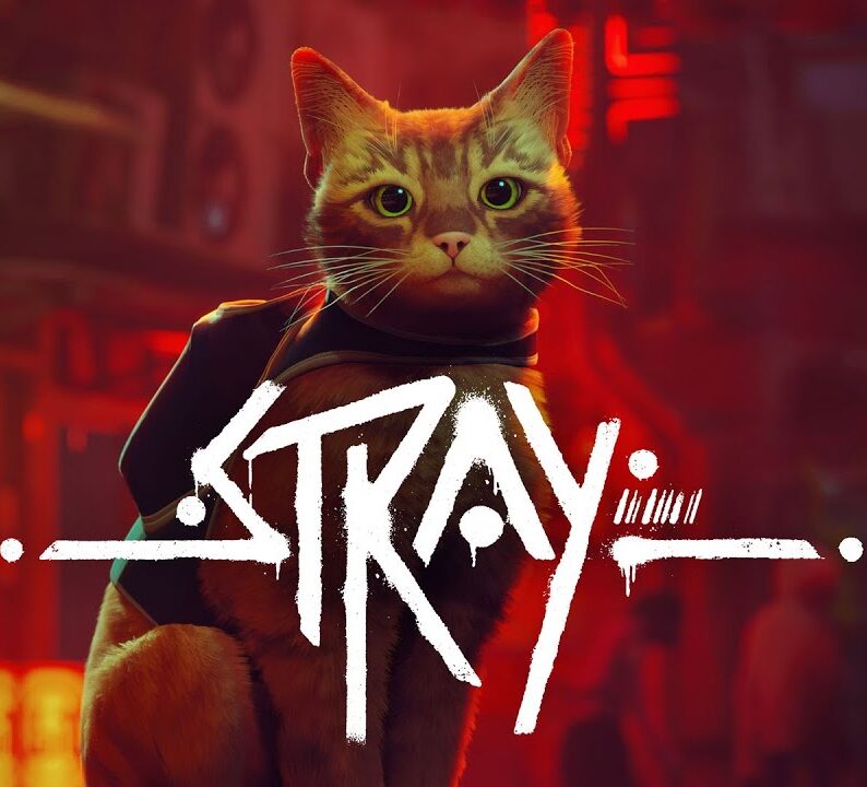 Stray Free Download