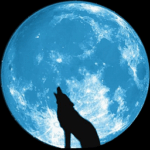 Pale Moon - Download