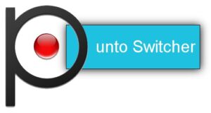 Punto Switcher free download